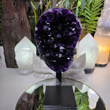 Lade das Bild in den Galerie-Viewer, XL High Quality Amethyst Cluster auf Stand
