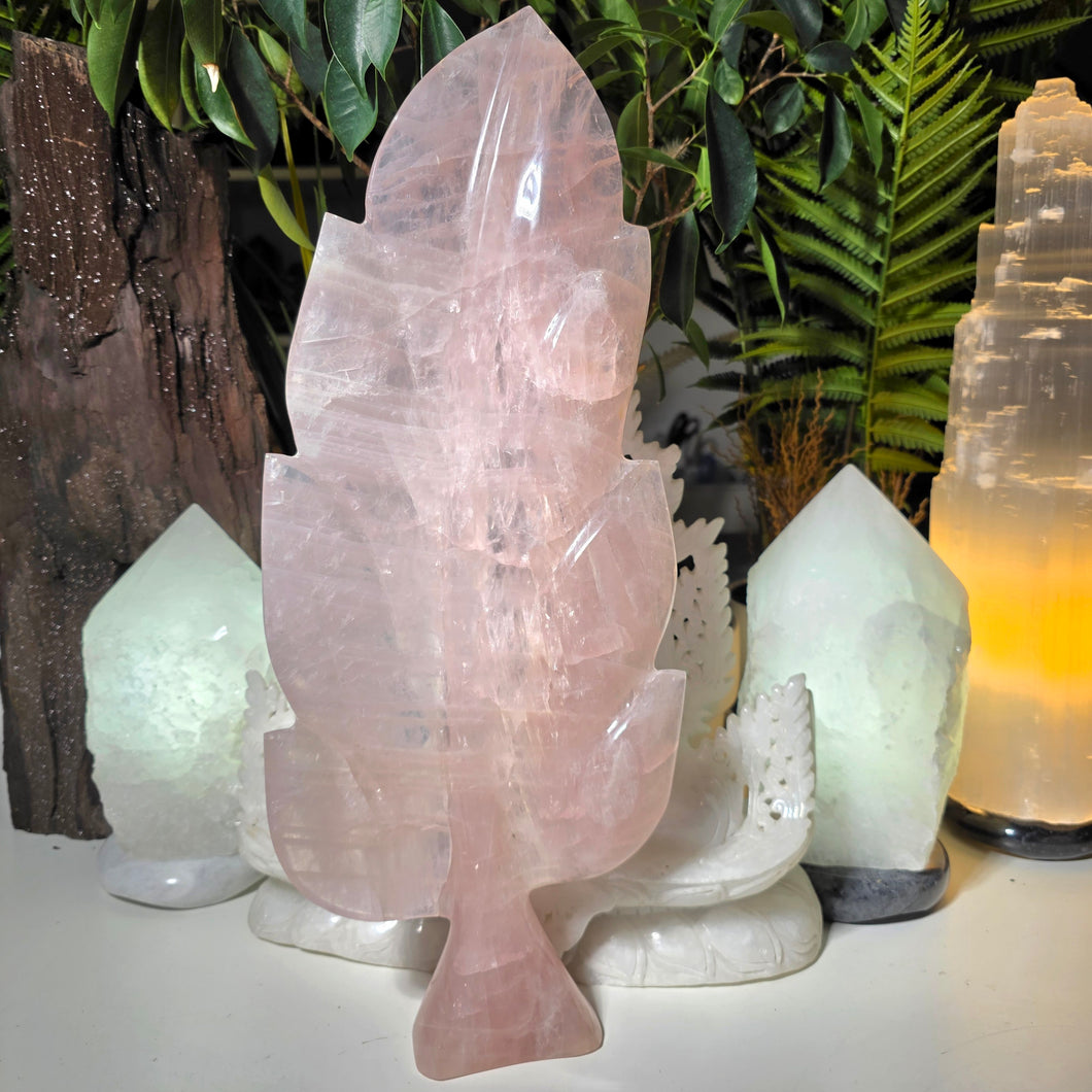 XL Rosenquarz Blatt Carving