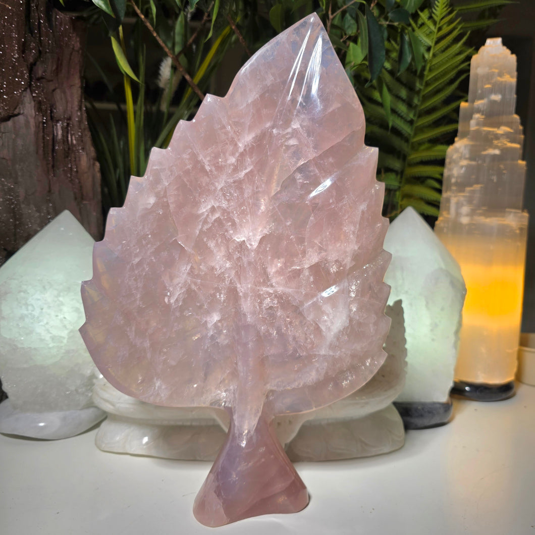 XL Rosenquarz Blatt Carving