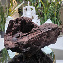 Lade das Bild in den Galerie-Viewer, Feenholz permineralisiertes fossiles Holz
