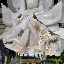 Lade das Bild in den Galerie-Viewer, Apophyllit Stilbit Cluster auf Stand
