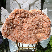 Lade das Bild in den Galerie-Viewer, Stilbit Cluster auf Stand
