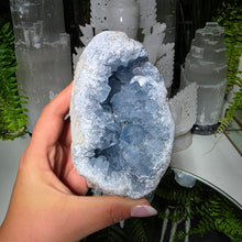 Lade das Bild in den Galerie-Viewer, Coelestin Cluster Geode
