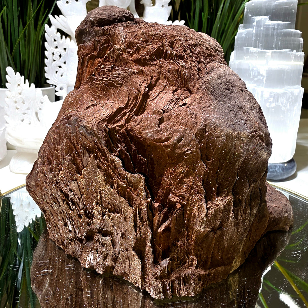 Feenholz permineralisiertes fossiles Holz