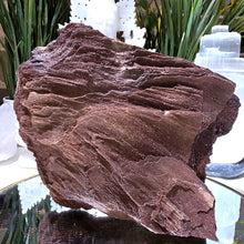 Lade das Bild in den Galerie-Viewer, Feenholz permineralisiertes fossiles Holz
