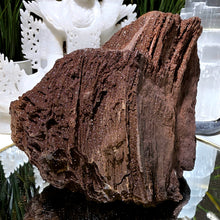Lade das Bild in den Galerie-Viewer, Feenholz permineralisiertes fossiles Holz

