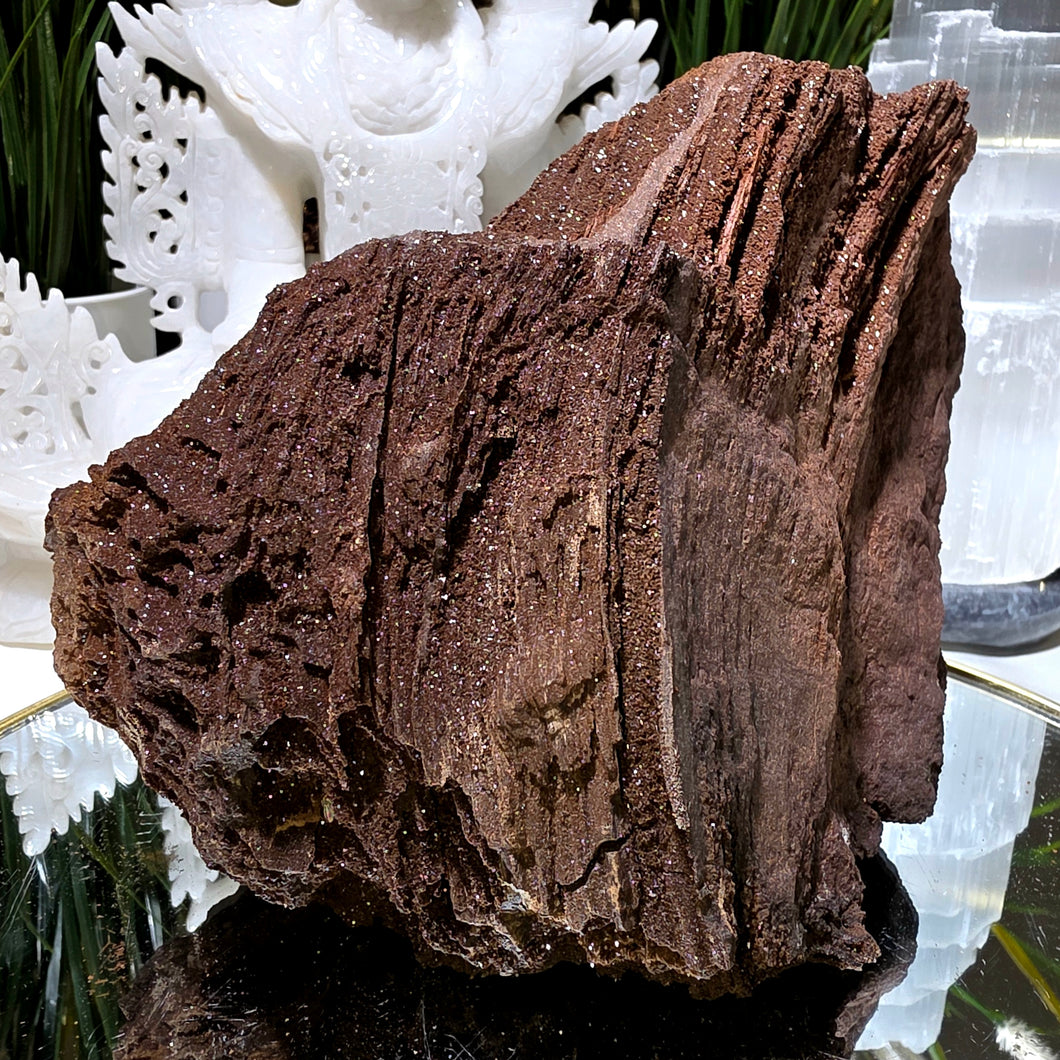 Feenholz permineralisiertes fossiles Holz