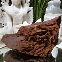 Lade das Bild in den Galerie-Viewer, Feenholz permineralisiertes fossiles Holz
