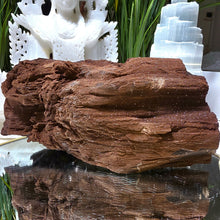 Lade das Bild in den Galerie-Viewer, Feenholz permineralisiertes fossiles Holz
