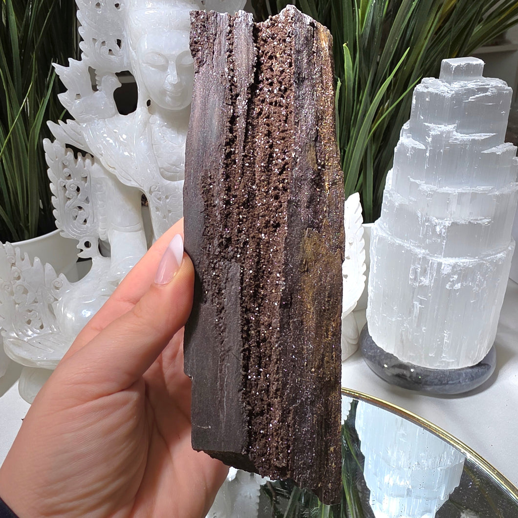 Feenholz permineralisiertes fossiles Holz