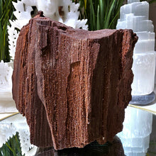 Lade das Bild in den Galerie-Viewer, Feenholz permineralisiertes fossiles Holz
