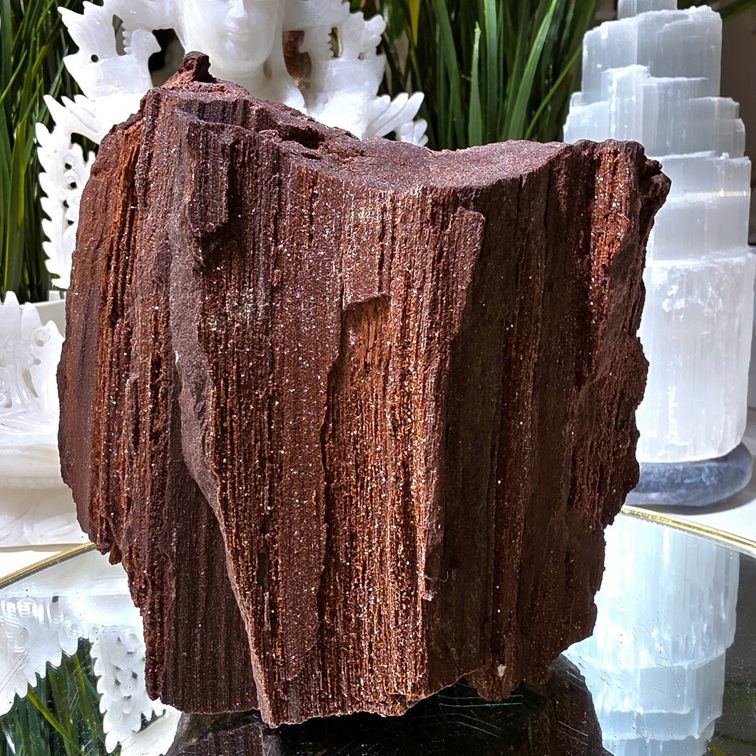 Feenholz permineralisiertes fossiles Holz