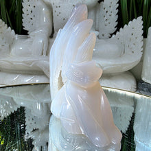 Lade das Bild in den Galerie-Viewer, Achat Druzy Fuchs Carving
