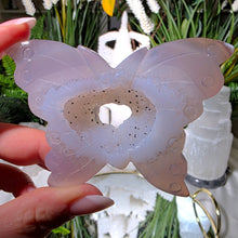 Lade das Bild in den Galerie-Viewer, Achat Druzy Schmetterling
