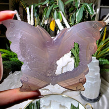 Lade das Bild in den Galerie-Viewer, Achat Druzy Schmetterling
