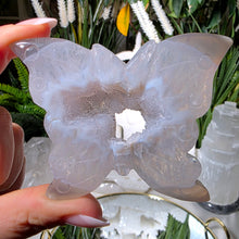 Lade das Bild in den Galerie-Viewer, Achat Druzy Schmetterling
