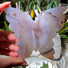 Lade das Bild in den Galerie-Viewer, Achat Druzy Schmetterling
