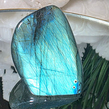 Lade das Bild in den Galerie-Viewer, Labradorit Freeform
