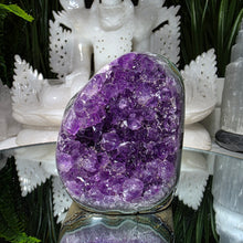 Lade das Bild in den Galerie-Viewer, Amethyst Cluster
