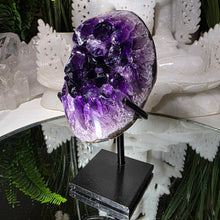 Lade das Bild in den Galerie-Viewer, Amethyst auf Stand
