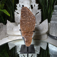 Lade das Bild in den Galerie-Viewer, Regenbogen Amethyst auf Stand
