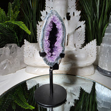 Lade das Bild in den Galerie-Viewer, Amethyst Druse auf Stand
