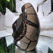 Lade das Bild in den Galerie-Viewer, Drachenstein Septarie Ei Drachenei
