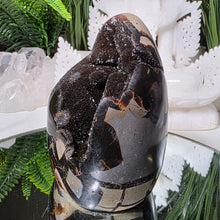 Lade das Bild in den Galerie-Viewer, Drachenstein Septarie Ei Drachenei
