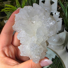 Lade das Bild in den Galerie-Viewer, Aragonit Cluster
