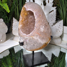 Lade das Bild in den Galerie-Viewer, Regenbogen Amethyst Cluster mit Stand
