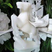 Lade das Bild in den Galerie-Viewer, Pferde Carving
