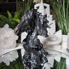 Lade das Bild in den Galerie-Viewer, Pferde Carving
