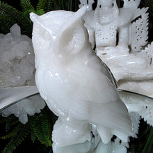 Lade das Bild in den Galerie-Viewer, Eule Marmor Carving
