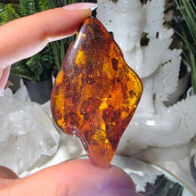 Lade das Bild in den Galerie-Viewer, Bernstein Trommelstein
