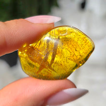 Lade das Bild in den Galerie-Viewer, Bernstein Trommelstein
