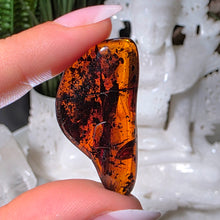 Lade das Bild in den Galerie-Viewer, Bernstein Trommelstein
