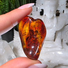 Lade das Bild in den Galerie-Viewer, Bernstein Trommelstein
