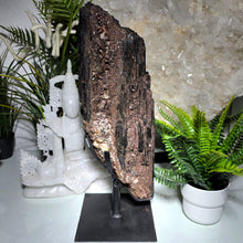 Lade das Bild in den Galerie-Viewer, XL Turmalin mit Mika auf Stand
