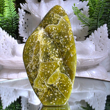Lade das Bild in den Galerie-Viewer, Serpentin Freeform
