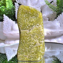 Lade das Bild in den Galerie-Viewer, Serpentin Freeform
