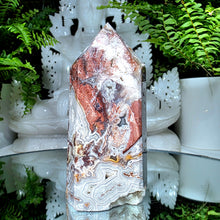 Lade das Bild in den Galerie-Viewer, Mexican Crazy Lace Turm
