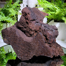 Lade das Bild in den Galerie-Viewer, Feenholz permineralisiertes fossiles Holz
