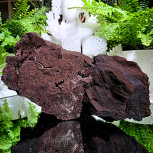 Lade das Bild in den Galerie-Viewer, Feenholz permineralisiertes fossiles Holz
