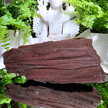 Lade das Bild in den Galerie-Viewer, Feenholz permineralisiertes fossiles Holz
