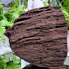 Lade das Bild in den Galerie-Viewer, Feenholz permineralisiertes fossiles Holz
