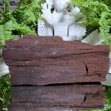 Lade das Bild in den Galerie-Viewer, Feenholz permineralisiertes fossiles Holz

