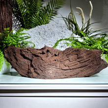 Lade das Bild in den Galerie-Viewer, Feenholz permineralisiertes fossiles Holz
