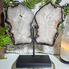 Lade das Bild in den Galerie-Viewer, XL Achat Flügel mit Druse mit Stand
