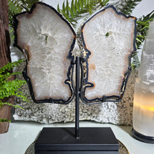 Lade das Bild in den Galerie-Viewer, XL Achat Flügel mit Druse mit Stand
