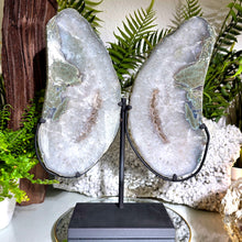 Lade das Bild in den Galerie-Viewer, XL Achat Flügel mit Druse mit Stand
